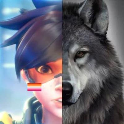 newt β
Profile