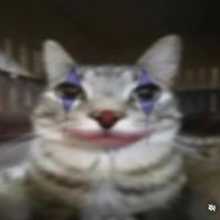 지태 (@zlsl123) 's Twitter Profile Photo