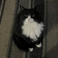 grapple π (@grapplefruitt) 's Twitter Profile