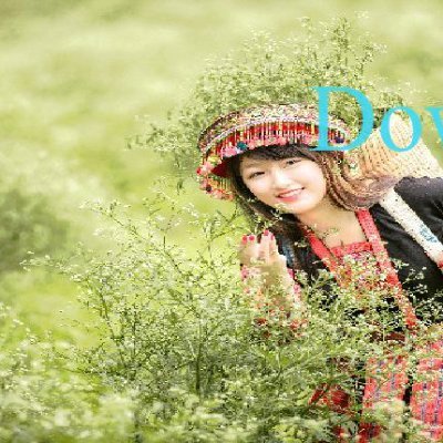 DowmanKevi34358's profile picture. 