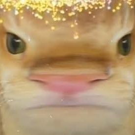 Nam_arste's profile picture. Use me as your character development