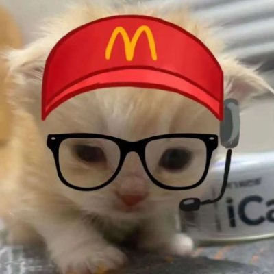 huihuiloveee's profile picture. ʚ爱的轻翼能飞跃高墙ɞ

🐾🐾