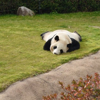 見るためのあかうんと