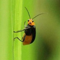 wIgkrIeLVo26231's profile picture. 非公開