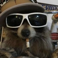 whæliin 🇺🇦 (@whaliin) 's Twitter Profile