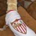 Jose vergel (@josevergel95104) Twitter profile photo Jose vergel (@josevergel95104) Twitter profile photo
