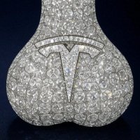 Private Musk (@privatee12234) 's Twitter Profile