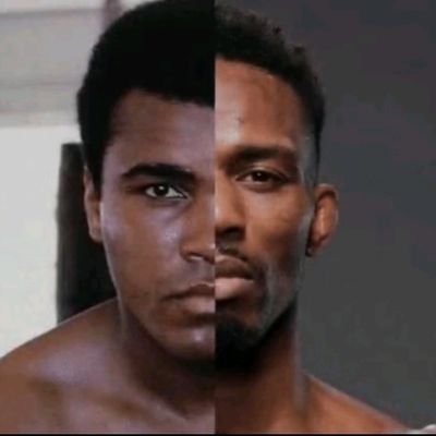 SkolVikingsfan's profile picture. I like the celtics, vikings, sabres, twins and mma and boxing