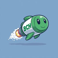 The BCH Bullet (@thebchbullet) 's Twitter Profile