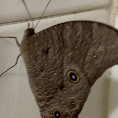 duck334455's profile picture. 