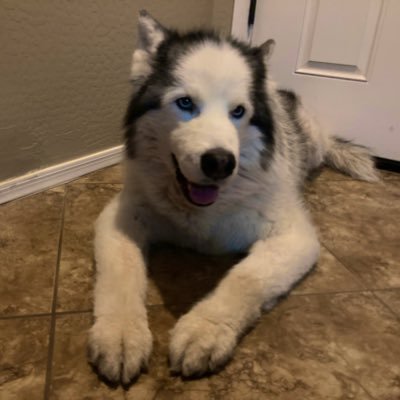 JohnsonTho62846's profile picture. 🇺🇸Fiber Splicer, Arizonan