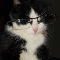 gryf.๐บ ๐ (@ggfffcnnnn) 's Twitter Profile