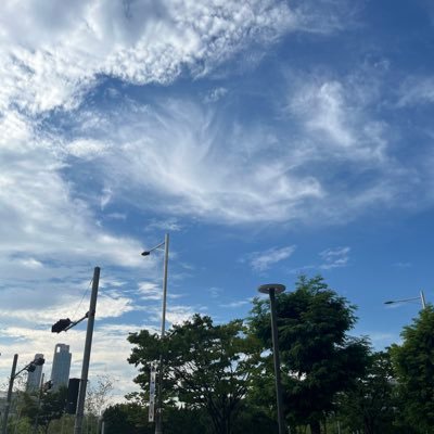 koalao99's profile picture. 