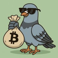 Pigeon (@sir_pigeon7) 's Twitter Profile