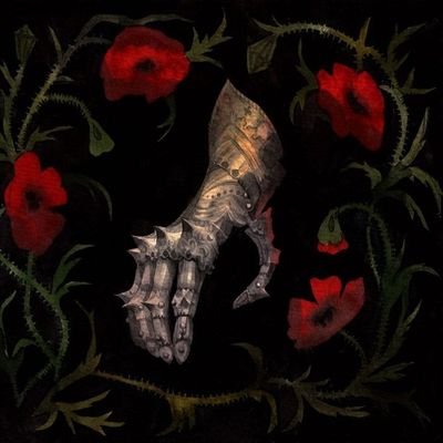nosseferatu's profile picture. 🩻