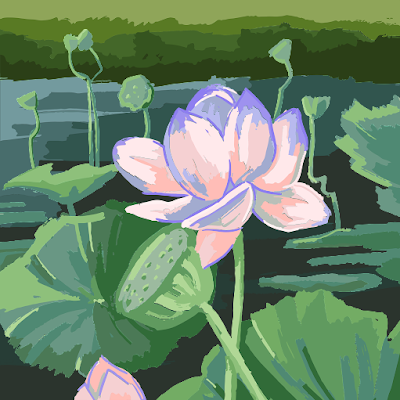 chicken53482's profile picture. 