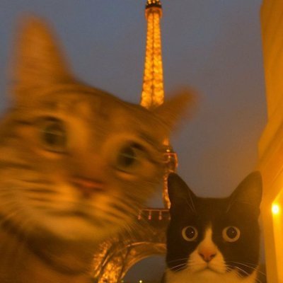 Adityakumar200q's profile picture. Rooted in India, exploring the digital world 🌍