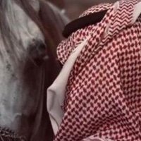 وليد العازمي (@wlled_al117) 's Twitter Profile