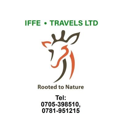 feel the deepest thrill of Jinja Adventure🏞🏝🌹 #upcomingevents #clubs #Hotels #falls #Bars #resutrants #Accomodations #CarHiring #parties #Gyms #Sports