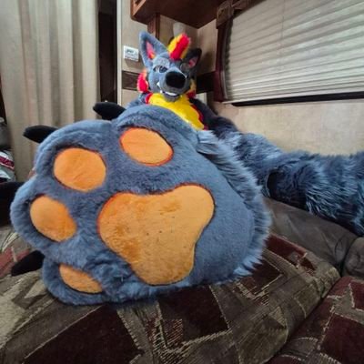 AD of a neutered Blue Dog, No age=blocked, lvl37, Closed and Taken by @FlameTheBadBoy 🧡❤️💙
🔞 Minors GTFO, Pup Acct: @PupVulpe, I saw, I conquered, I came 😈
