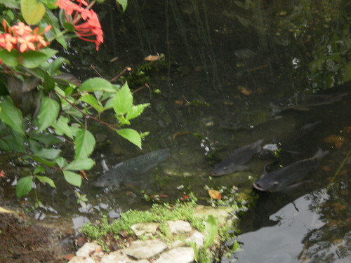 JIT4TVA's profile picture. Doing Things Right the First Time