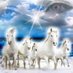 ethereal. (@etherealcoin777) Twitter profile photo ethereal. (@etherealcoin777) Twitter profile photo