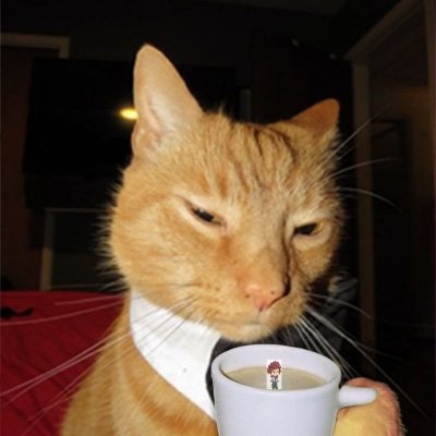 leomaolod's profile picture.