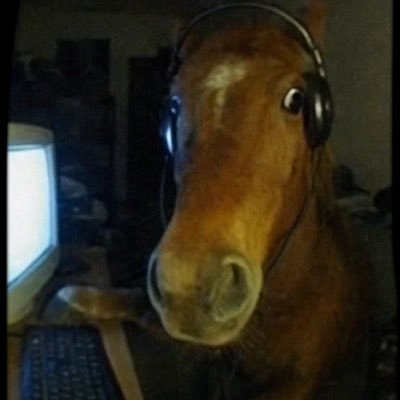 18 | He/Him | Autistic | Fan of various games and other media |