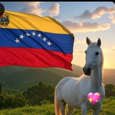 elepaquis31948's profile picture. amo  la vida 💛 
Voy siempre pa' adelante
Venezuela sera libre 🇻🇪🇻🇪🇻🇪🇻🇪🇻🇪