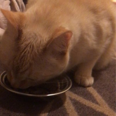 AidanCYYYY's profile picture. I get women