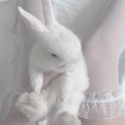 18 ˚ʚ♡ɞ˚ MDNI ⋆. 𐙚˚ @dollh4ndss ← paid private ($40 thru linktree) ⋆ ˚。⋆౨ৎ˚