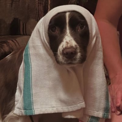 mrs_remarkable's profile picture. here i don't have to be quiet here i don't have to be kind extraordinary and normal all at the same time