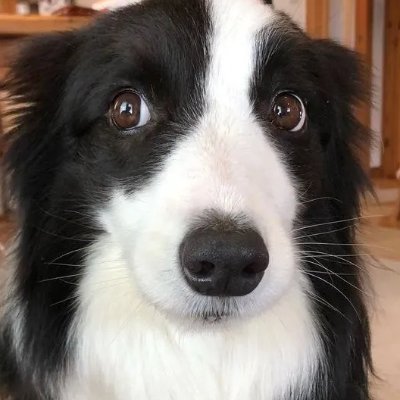 MethylatedBile's profile picture. Cheers