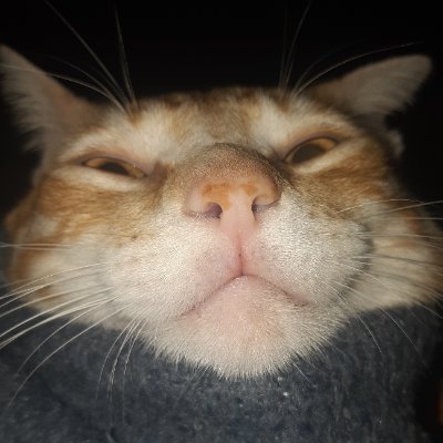 realx75's profile picture. 