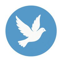 طير بلا قيد 🕊️✨ (@_vyrah) 's Twitter Profile