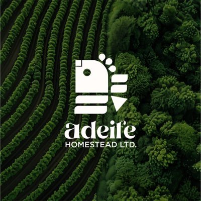 adeifefarm's profile picture. ADEIFE Farm is an innovative Nigerian agribusiness focused on crops, fishery, poultry & livestock. We promote sustainability, impact & economic growth.