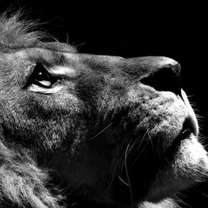 iRUANZXX7's profile picture. 