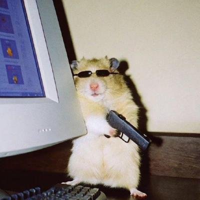DriftNBlde's profile picture. Why not be jack of all trades