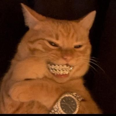 x_Rowe_x's profile picture. Meme connoisseur || Learning about NFTs