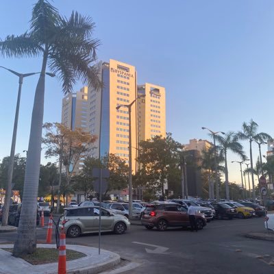 AlejandroS90147's profile picture. 