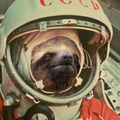 LeonSlothsky's profile picture. 