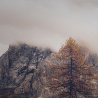 Nothingness.. (@n0thingnesses) 's Twitter Profile