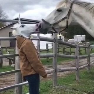 gffgjkf14's profile picture. hgfd