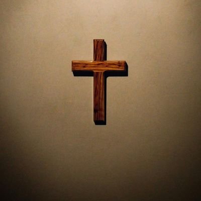 Paul15561071015's profile picture. 