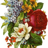 Rose Dera سِِكُسْ_كتَاب Bokep (@chudai_jav_irtv) 's Twitter Profile