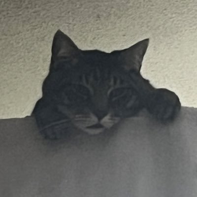 minoushmacho's profile picture. $Macho