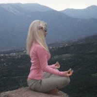 chee 💕 (@cheechee_mama) 's Twitter Profile Photo