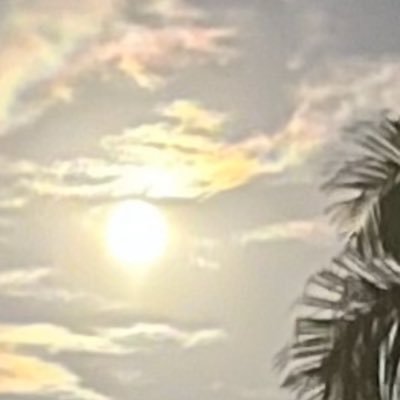 CameHereToLearn's profile picture. Cameheretolearn but DON’T tag me in yourcryptobitcoinslists&offers, for I’ll report your post & block you. Simple! __✌🏻& 🩷__