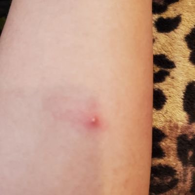 eagis0517's profile picture. 