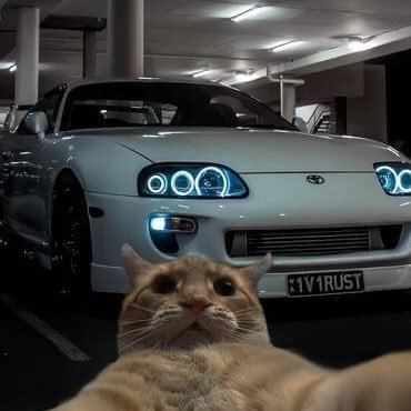 TalhaHumty121's profile picture. Alhamdulillah 🇵🇰 Photographer Video editior